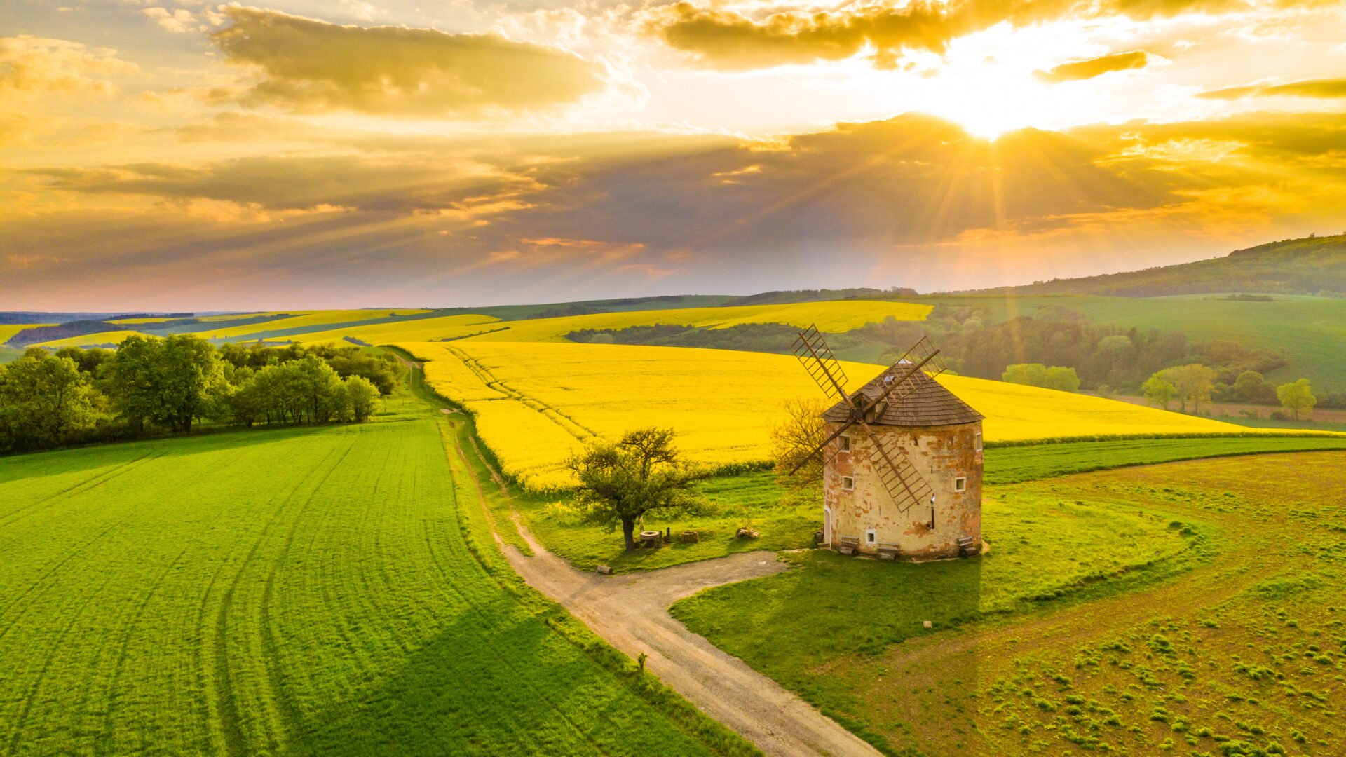 Landschap in Tsjechië met een historische windmolen, groene velden en een kleurrijke zonsondergang.